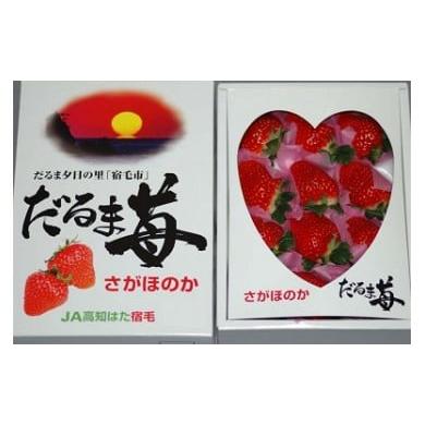 ふるさと納税 いちご 高知県 宿毛市 だるま苺(さがほのか)化粧箱 いちご 大粒 フルーツ 果物 贈答 ギフト スイーツ こだわり 冷蔵 JA 農協 高知 だるま夕日…