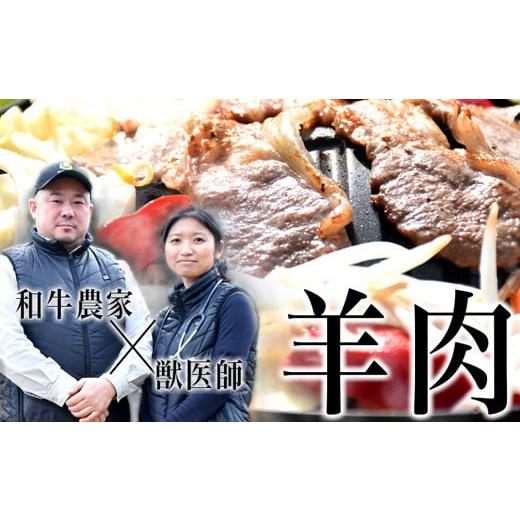 ふるさと納税 福島県 葛尾村 メルティーシープ　ジンギスカン肉500g（250g×２パック）　ホゲット　国産サフォーク種　羊肉　液体急速冷凍 