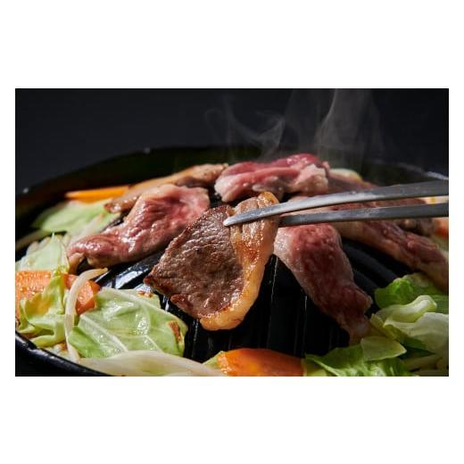 ふるさと納税 福島県 葛尾村 メルティーシープ　ジンギスカン肉500g（250g×２パック）　ホゲット　国産サフォーク種　羊肉　液体急速冷凍 