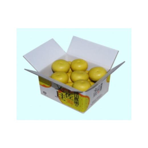 ふるさと納税 地域のお礼の品 高知県 土佐市 高知県産土佐文旦訳あり 商品 5kg 株式会社種田農園