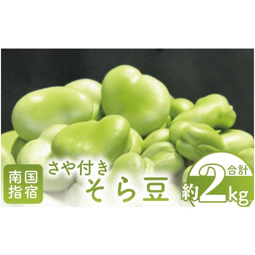 ふるさと納税 豆類 鹿児島県 指宿市 2026年1月中旬〜発送 さや付きそら豆約2kg〜冬〜(アグリスタイル/A-206) 野菜 そらまめ ソラマメ サラダ 旬 冬 おつまみ