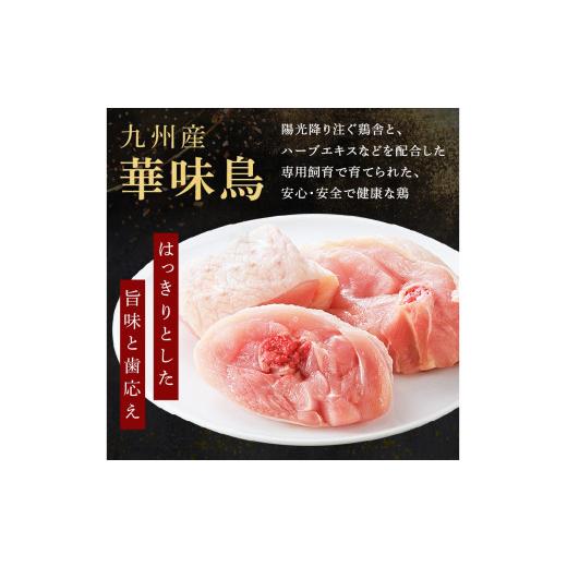 ふるさと納税 モツ鍋 福岡県 飯塚市 博多「華味鳥」 水たき＆もつ鍋セット D5-055 鍋 鍋セット もつ鍋 水炊き 食べ比べ ふるさと納税 鍋 飯塚市_4