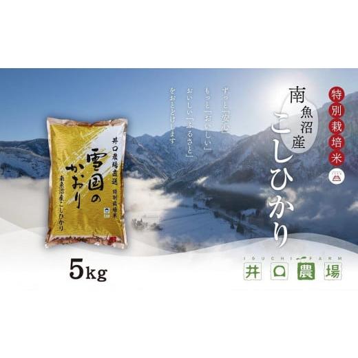 ふるさと納税 米 コシヒカリ 新潟県 南魚沼市 令和7年産 新米 南魚沼産コシヒカリ 5kg 井口農場こだわりの 特別栽培米
