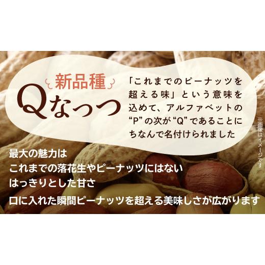 ふるさと納税 豆類 落花生 千葉県 八街市 落花生 千葉県八街市産 計1320g 落花生新品種Qなっつ(220g×6袋) ピーナッツ おつまみ おすすめ 人気 健康 千葉 八街…