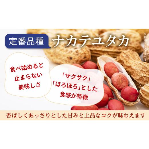 ふるさと納税 豆類 落花生 千葉県 八街市 落花生 食べ比べセット 1240g 殻付き 千葉半立 味付けナカテユタカ バター 落花生 らっかせい ピーナツ ピーナッツ …