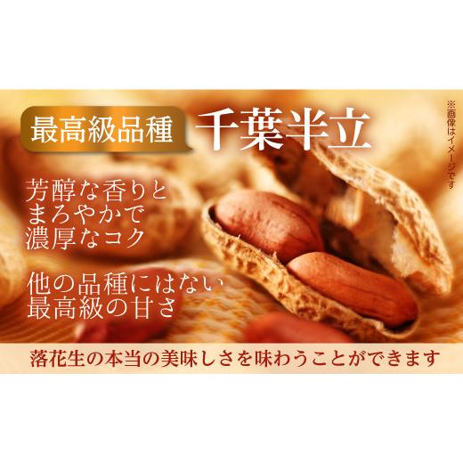 ふるさと納税 豆類 落花生 千葉県 八街市 落花生 食べ比べセット 1240g 殻付き 千葉半立 味付けナカテユタカ バター 落花生 らっかせい ピーナツ ピーナッツ …