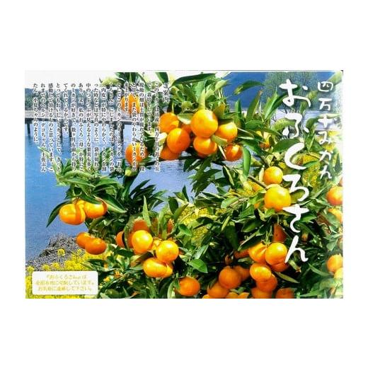 ふるさと納税 果物類 みかん 高知県 須崎市 おふくろさん? (温州みかん) 3kg