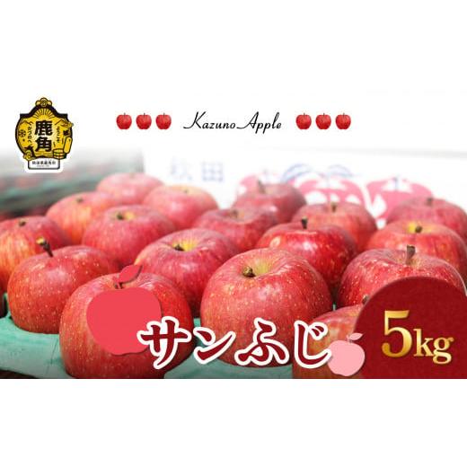 ふるさと納税 りんご 秋田県 鹿角市 [ 先行予約 ]鹿角りんご「サンふじ」 5kg(14〜18玉前後) 佐藤秀果園 ●2025年12月上旬発送開始 リンゴ 林檎 贈答用 果…