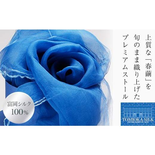 ふるさと納税 小物 ストール・マフラー 群馬県 富岡市 TOMIOKA SILK オーガンジーストール 「草木染」 ブルー 富岡シルク 国産 草木染 プレミアム ストール 春…