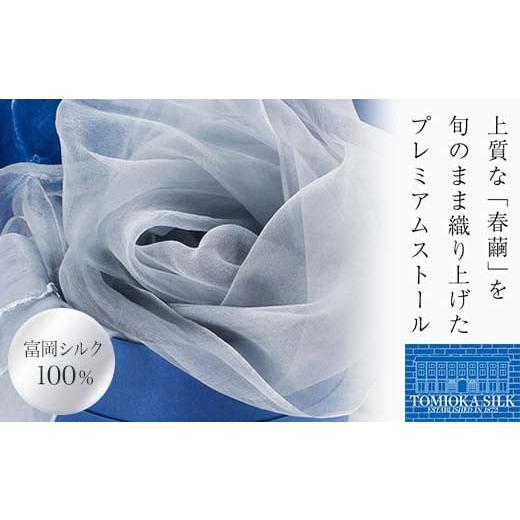 ふるさと納税 小物 ストール・マフラー 群馬県 富岡市 TOMIOKA SILK オーガンジーストール 「草木染」 ブルーグレー 富岡シルク 国産 草木染 プレミアム スト…
