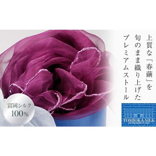 ふるさと納税 小物 ストール・マフラー 群馬県 富岡市 TOMIOKA SILKオーガンジーストール 「草木染」 パープル 富岡シルク 国産 草木染 プレミアム ストール …