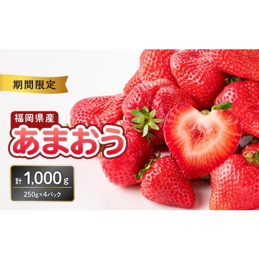ふるさと納税 いちご 福岡県 八女市 福岡県産あまおう 250g×4パック 2027年3月発送開始 配送不可:離島 あまおう いちご 苺 イチゴ フルーツ 果物 くだもの …