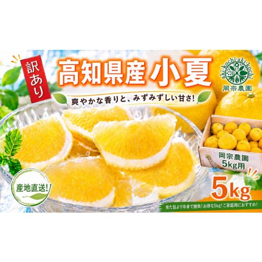 ふるさと納税 みかん・柑橘類 高知県 安芸市 先行受付 訳あり 小夏 5kg 家庭用 フルーツ 果物 みかん 期間限定 季節限定 旬 柑橘 自宅用 ご家庭用 訳アリ こ…