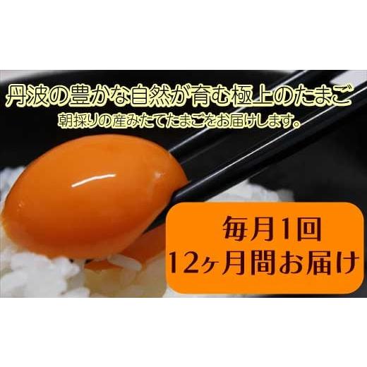 【新品 送料込み】 ふるさと納税 兵庫県 丹波市 【12ヶ月定期便】「村上さん家のせせらぎ卵」　45個＋5個破卵補償　(計50個） 【EIM1249296568】(44000円)