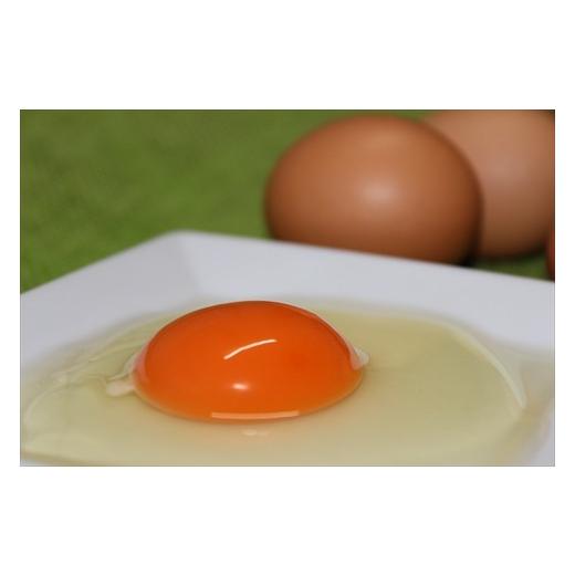 【新品 送料込み】 ふるさと納税 兵庫県 丹波市 【12ヶ月定期便】「村上さん家のせせらぎ卵」　45個＋5個破卵補償　(計50個） 【EIM1249296568】(44000円)