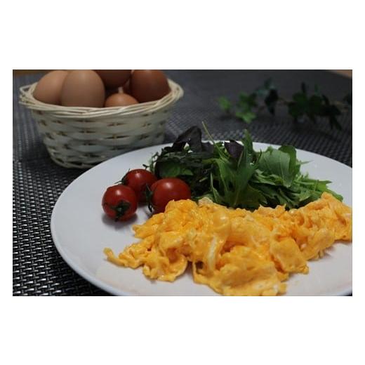 【新品 送料込み】 ふるさと納税 兵庫県 丹波市 【12ヶ月定期便】「村上さん家のせせらぎ卵」　45個＋5個破卵補償　(計50個） 【EIM1249296568】(44000円)