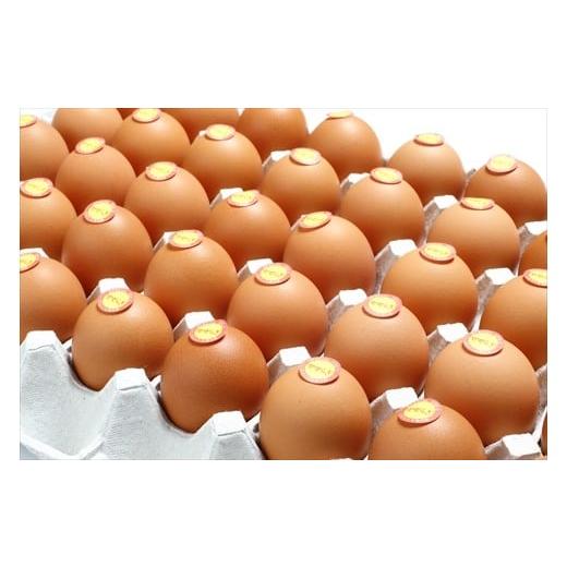 【新品 送料込み】 ふるさと納税 兵庫県 丹波市 【12ヶ月定期便】「村上さん家のせせらぎ卵」　45個＋5個破卵補償　(計50個） 【EIM1249296568】(44000円)