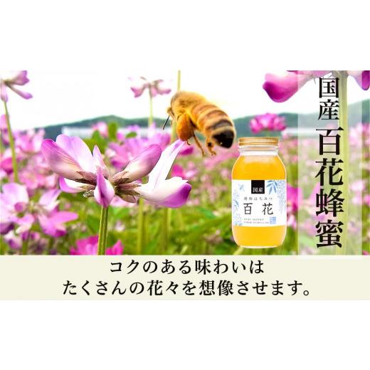 ふるさと納税 加工品等 はちみつ 岐阜県 大野町 養蜂場からお届け 国産