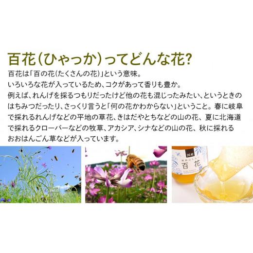 ふるさと納税 加工品等 はちみつ 岐阜県 大野町 養蜂場からお届け 国産