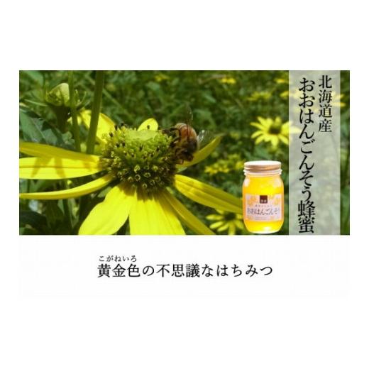 ふるさと納税 岐阜県 大野町 ☆味比べ☆国産 百花蜂蜜・おおはんごんそう蜂蜜（各600g×1本）｜furusatochoice｜03