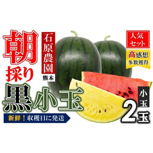 ふるさと納税 スイカ 熊本県 和水町 先行予約 小玉スイカ 食べ比べ 小玉スイカ(赤色・黄色) 2026年(令和8年)5月下旬頃から順次発送予定 熊本和水町産 西…