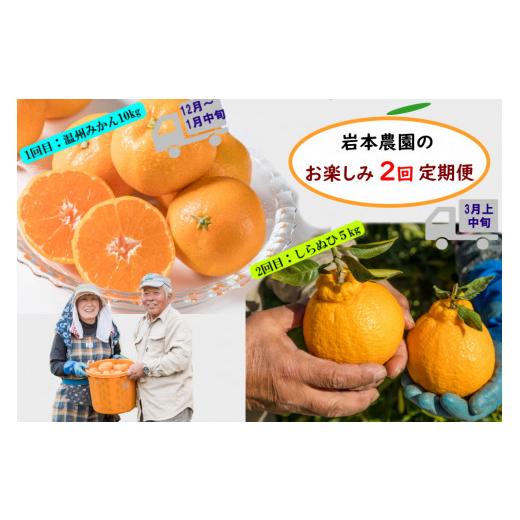 ふるさと納税 佐賀県 太良町 P-84 岩本農園のお楽しみ　２回定期便 