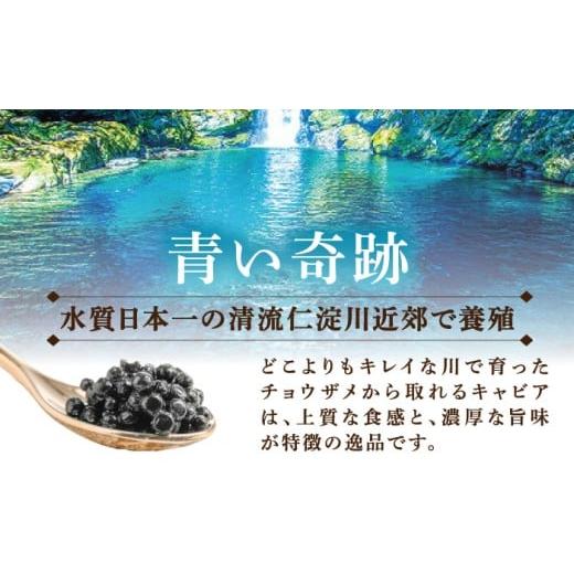 ふるさと納税 魚貝類 キャビア 高知県 高知市 高知産熟成 キャビア＆キャビアフィッシュペースト 贈答セット ／ ギフト プレゼント チョウザメ 魚卵 珍味 高級…