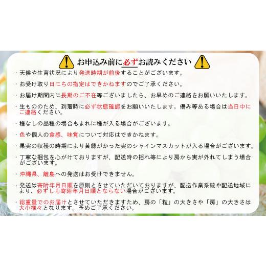 格安の通販 ふるさと納税 長野県 須坂市 [No.5657-2435]シャインマスカット 約1.5kg（約2〜3房）《田子農園》■2024年発送■※9月中旬頃〜11月上旬頃まで順次発送予定