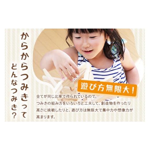 ふるさと納税 雑貨・日用品 玩具 宮崎県 三股町  からからつみき3種類クリエイティブセット680P 木のおもちゃ 知育玩具 子供 おもちゃ 積み木 男の子 女の子 …の画像