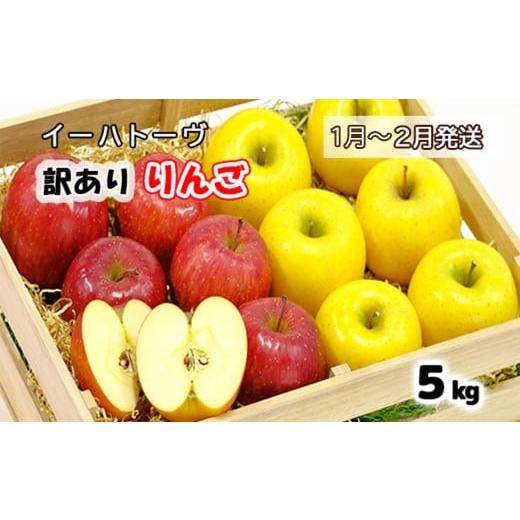 ふるさと納税 りんご 岩手県 花巻市 イーハトーヴ 訳アリ りんご 約5kgセット[2026年1月より発送予定/予約受付] 280-1 2026年1月より発送開始予定