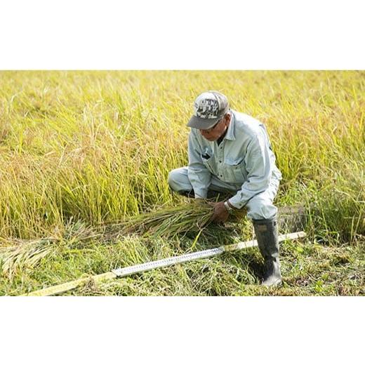 ふるさと納税 長崎県 西海市 【木村式自然栽培】 白米 ヒノヒカリ 10kg ＜ハマソウファーム＞ [CBR004]｜furusatochoice｜05