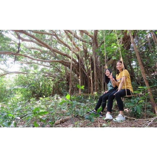 ふるさと納税 沖縄県 糸満市 沖縄の空の下気分爽快！糸満ジャングルバギー体験ツアー（大人1名様） 