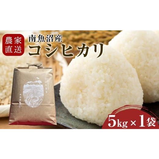 ふるさと納税 米 コシヒカリ 新潟県 南魚沼市 令和7年産 農家直送 南魚沼産コシヒカリ 5kg(5kg×1袋) 2026年3月上旬より順次発送予定