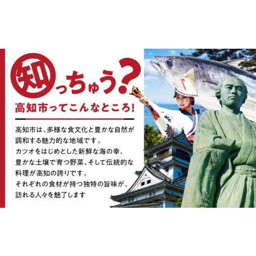 ふるさと納税 陶磁器・漆器・ガラス 高知県 高知市 「土佐古代塗」8寸盛皿「楽」 (24cm) 美禄堂 ATBF028の画像
