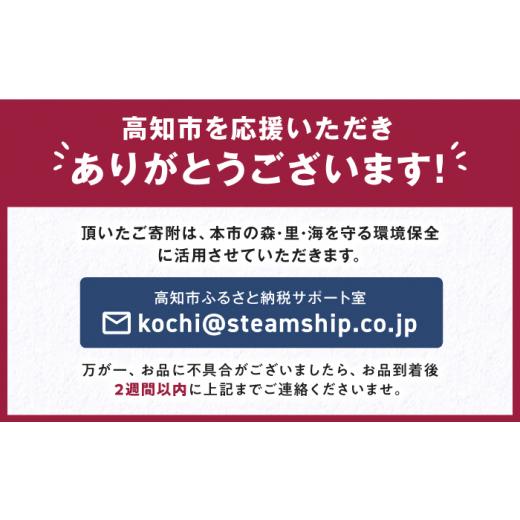 ふるさと納税 陶磁器・漆器・ガラス 高知県 高知市 「土佐古代塗」8寸盛皿「楽」 (24cm) 美禄堂 ATBF028の画像