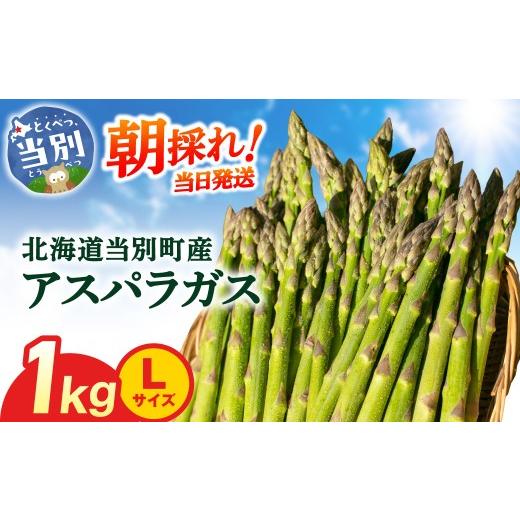 ふるさと納税 野菜類 アスパラガス 北海道 当別町 2026年先行受付 とれたてグリーンアスパラLサイズ1kg