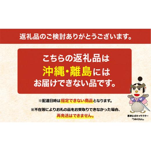 ふるさと納税 牡蠣 生牡蠣 北海道 厚岸町 牡蠣 厚岸産 殻かき あさり セット 生食 生牡蠣 貝付き牡蠣 貝 海鮮 魚介類 殻付き牡蠣 食べ比べ No.5863-0452_2