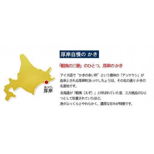 ふるさと納税 牡蠣 生牡蠣 北海道 厚岸町 牡蠣 厚岸産 殻かき あさり セット 生食 生牡蠣 貝付き牡蠣 貝 海鮮 魚介類 殻付き牡蠣 食べ比べ No.5863-0452_4