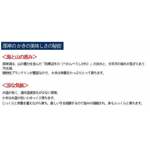 ふるさと納税 牡蠣 生牡蠣 北海道 厚岸町 牡蠣 厚岸産 殻かき あさり セット 生食 生牡蠣 貝付き牡蠣 貝 海鮮 魚介類 殻付き牡蠣 食べ比べ No.5863-0452_5