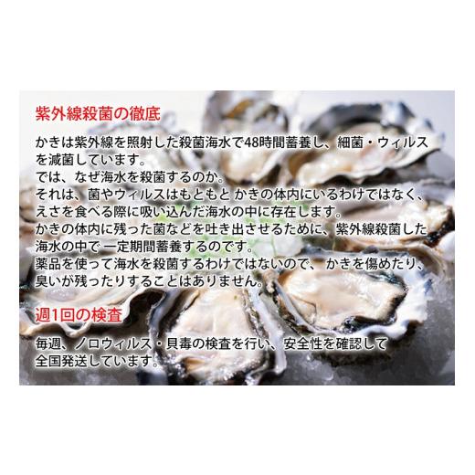 ふるさと納税 牡蠣 生牡蠣 北海道 厚岸町 牡蠣 厚岸産 殻かき あさり セット 生食 生牡蠣 貝付き牡蠣 貝 海鮮 魚介類 殻付き牡蠣 食べ比べ No.5863-0452_6