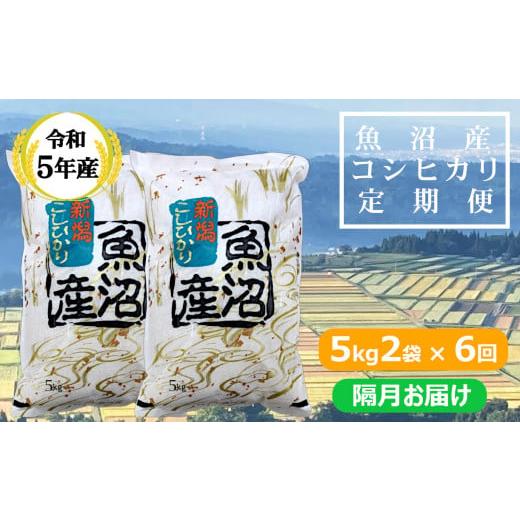 ふるさと納税 新潟県 小千谷市 r05-128-2KY [共栄農工社] 令和5年産 魚沼産コシヒカリ定期便 5kg2袋×6回/隔月お届け 白米 魚沼 米 定期便