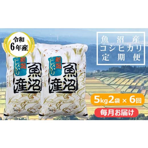 ふるさと納税 新潟県 小千谷市 r05-128-1KY [共栄農工社] 令和5年産 魚沼産コシヒカリ定期便 5kg2袋×6回/毎月お届け 白米 魚沼 米 定期便