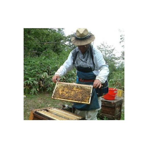 ふるさと納税 加工品等 はちみつ 和歌山県 九度山町 熊野古道 峠の蜂蜜3本セット SW71の画像