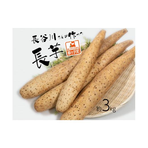 ふるさと納税 人参・大根・他根菜 青森県 鰺ヶ沢町 長谷川さんが作った長芋(約3kg) 野菜 根菜 やさい とろろ ながいも 芋 いも 青森県 鰺ヶ沢町