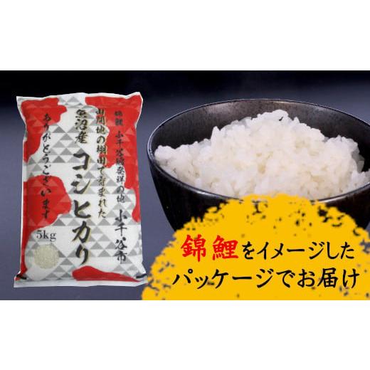 ふるさと納税 米 コシヒカリ 新潟県 小千谷市 特別栽培棚田米 魚沼コシヒカリ 5kg 錦鯉デザインパッケージ | 新潟県産 コシヒカリ お米 米 おこめ こめ コメ …