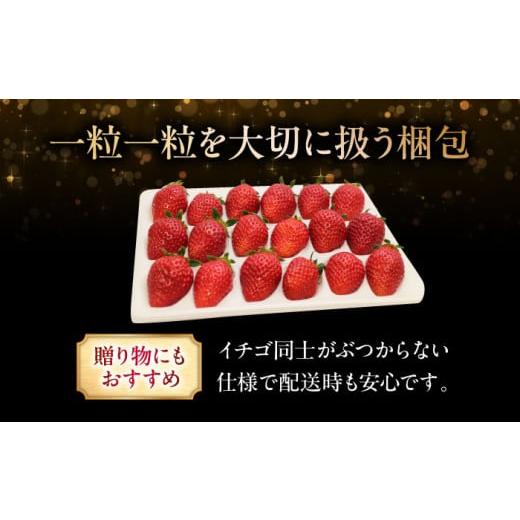 ふるさと納税 いちご 広島県 三次市 先行予約 12月下旬から順次 ふるさと納税 いちご 広島県 三次市 先行予約 12月下旬から順次