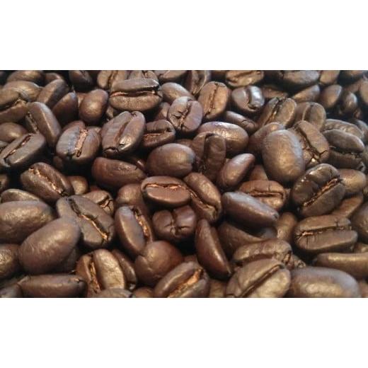 ふるさと納税 静岡県 森町 自家焙煎コーヒー豆3種セット[100g×3袋](豆) 豆