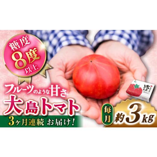 ふるさと納税 長崎県 西海市 トマト 高糖度 [2025年収穫分先行予約][3kg×3回 定期便 ]糖度8度以上の果実! 大島 トマト 計9kg 西海市産 トマト とまと …