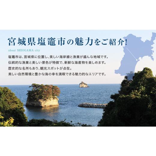 ふるさと納税 宮城県 塩竈市 【高島屋選定品】＜定期便＞塩竈のごはんのお供　Bコース　【04203-0375】｜furusatochoice｜07