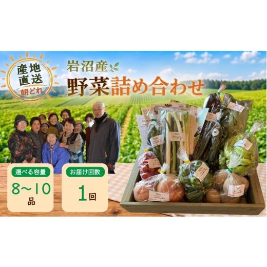 ふるさと納税 セット・詰合せ 宮城県 岩沼市 産地直送 朝どれ 新鮮野菜 8〜10種類 詰め合わせ セット おまかせ 旬 季節の野菜 春野菜 夏野菜 秋野菜 冬野菜 根…